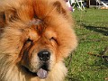 20040830_ 049